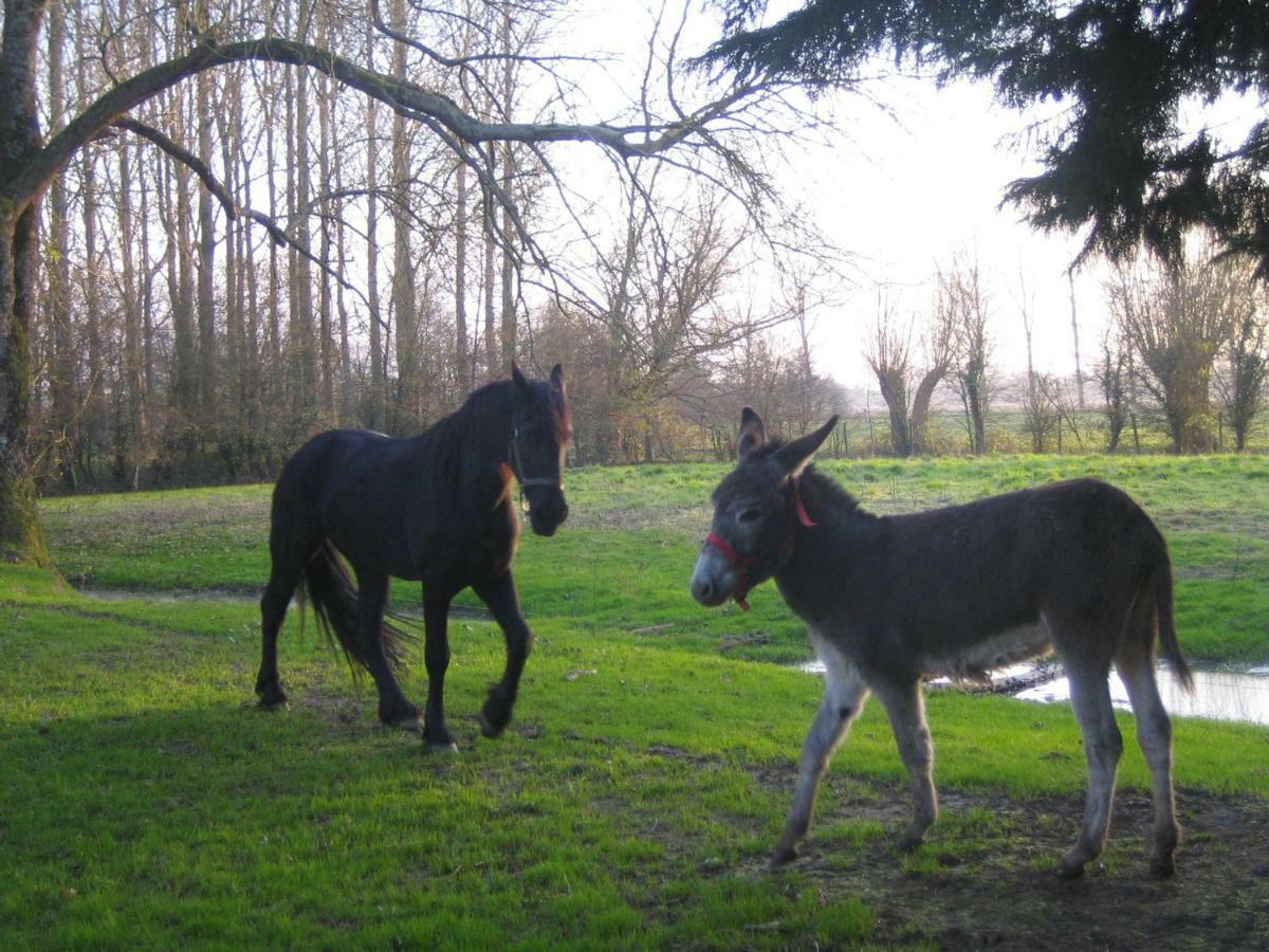 La Ferme De Tigny Villa Eksteriør bilde