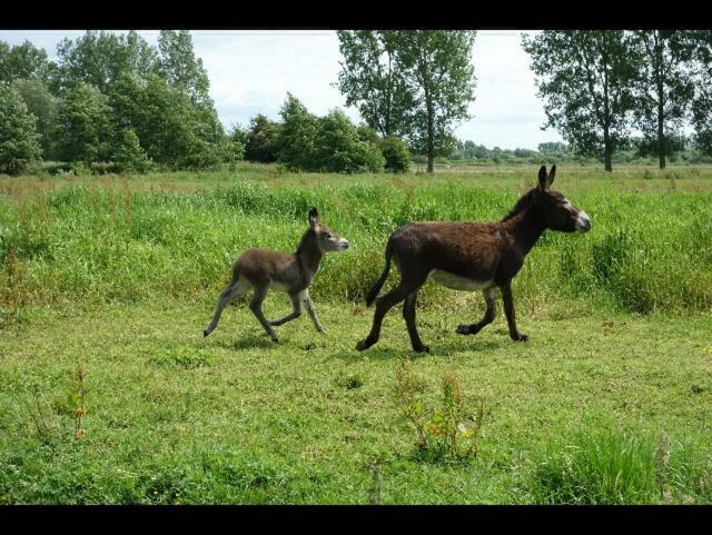 La Ferme De Tigny Villa Eksteriør bilde